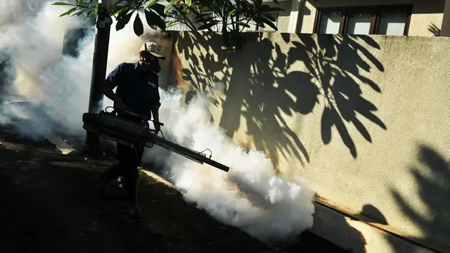 Seberapa Efektif Fogging Basmi Nyamuk?