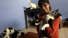 Lizi Inga saat memegang seekor kucing dirumahnya, Lima, Peru (4/8/2015). Inga merupakan seorang wanita yang mempunyai penampungan kucing sekitar 50 ekor dirumahnya sendiri. (Reuters/Mariana Bazo)