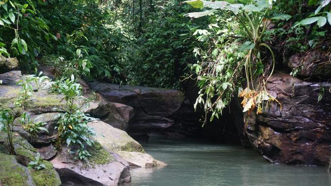 Sungai Kerapu memiliki keindahan alam yang tak kalah menarik dengan spot utama wisata Bukit Lawang yang telah dahulu mendunia.