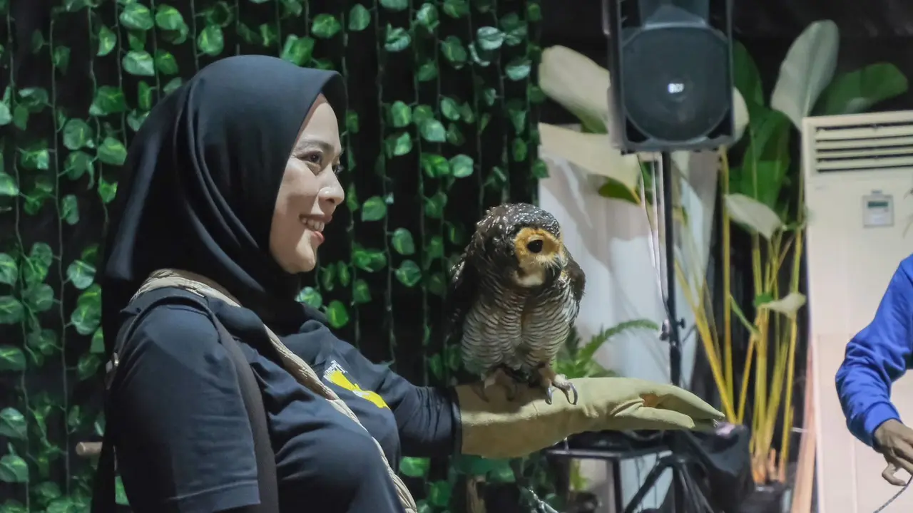 Planimals Exhibition & Zoonimals