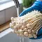 Apakah Jamur Enoki Berbahaya? Ini Fakta soal Risiko Listeria dan Cara Amannya