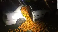 Ilustrasi pencurian jeruk di Banyuwangi (Istimewa)