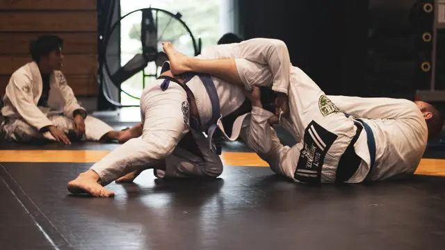 Ilustrasi Judo