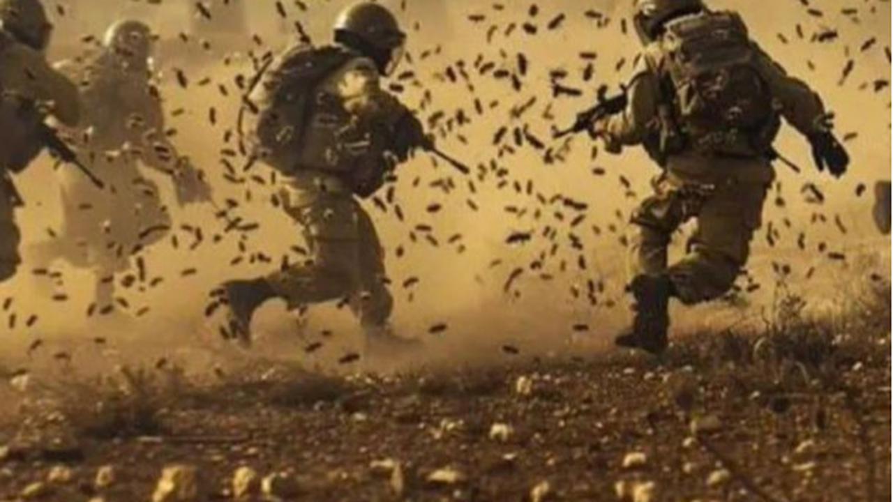 Tentara Israel Disengat Tawon di Gaza, 12 Orang Masuk Rumah Sakit