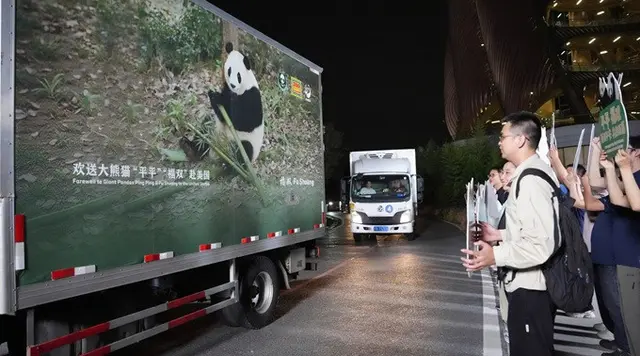 2 Panda Raksasa dari China, Ping Ping dan Fu Shuang, Tiba di AS