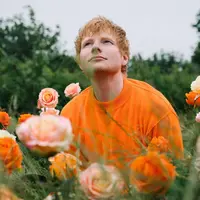 Tak menyerah, Ed Sheeran promosikan album dalam kondisi positif COVID-19. (Instagram @teddysphotos)