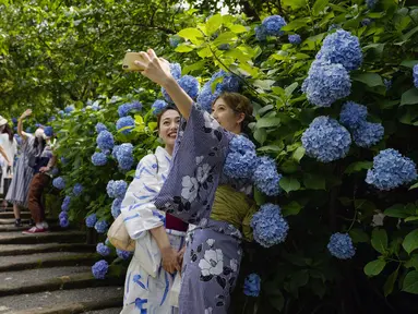 Pengunjung melepas masker untuk berfoto saat bunga hydrangea bermekaran penuh di Meigetsu-in kuil Buddha di Kamakura, Tokyo, Jumat (11/6/2021).  (AP Photo/Kiichiro Sato)