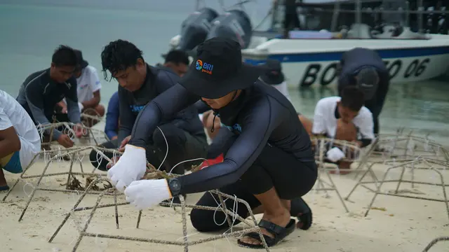 Geliat Kelompok Maratua Peduli Lingkungan, Bersama BRI Peduli Bangun Kesadaran Masyarakat Lewat Transplantasi Terumbu Karang