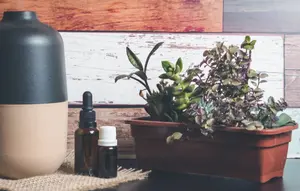 Upgrade Suasana Rumah dengan Diffuser Oil Terbaik yang Wanginya Bikin Betah