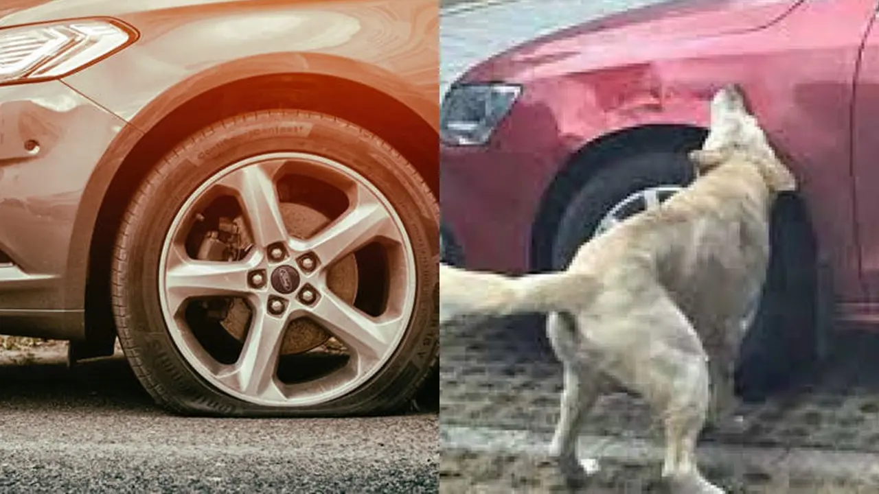 Misteri Ban Mobil Bocor