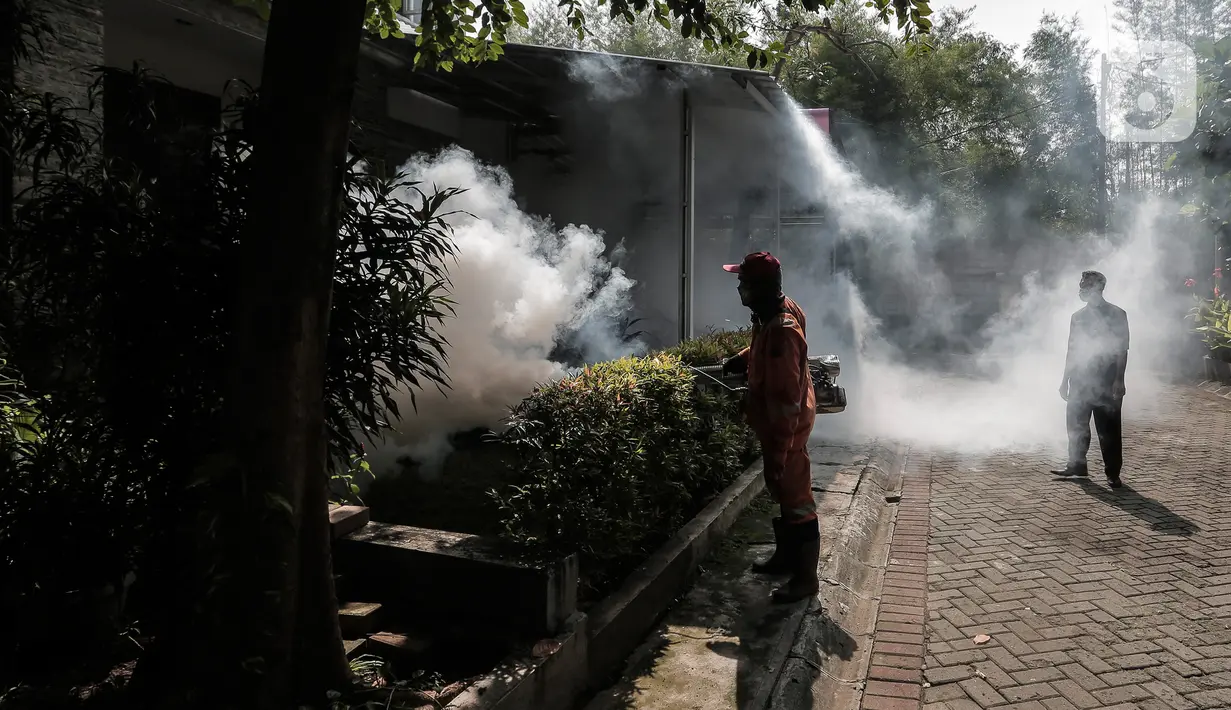 Petugas melakukan pengasapan (fogging) di halaman rumah warga, Pesanggrahan, Jakarta, Kamis (6/10/2022). Pengasapan ini diharapkan dapat mencegah penyakit DBD didaerah tersebut. (Liputan6.com/Johan Tallo)