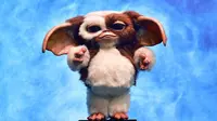 Gremlins 3 Confirmed for 2027 Release, Steven Spielberg and Chris Columbus Return