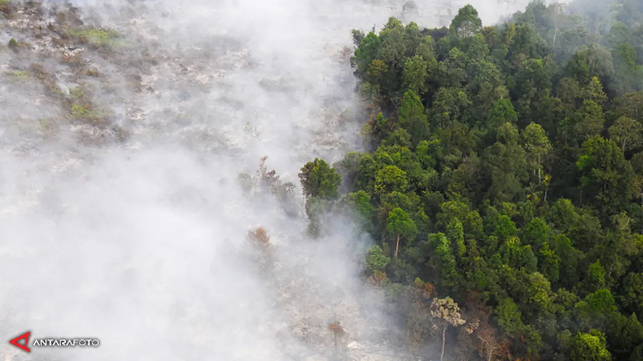 kebakaran-hutan2-130634-b.jpg