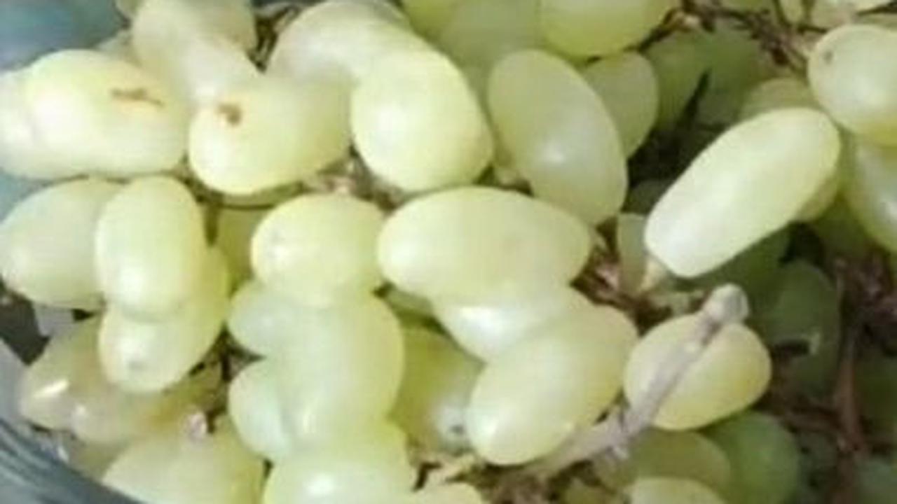 Siapkan Anggur yang Ingin Dibersihkan
