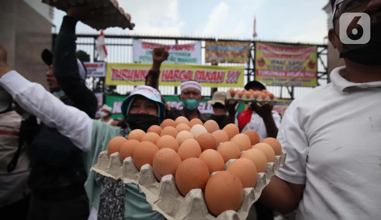 Peternak ayam membawa spanduk dan telur di berunjuk rasa di depan gedung MPR/DPR/DPD, Senayan, Jakarta, Senin (11/10/2021). Dalam aksinya Peternak ayam yang berasal dari Jawa Timur, dan Jawa Tengah menuntut kenaikan harga karna anjloknya harga telur ditingkat peternak. (Liputan6.com/Johan Tallo)