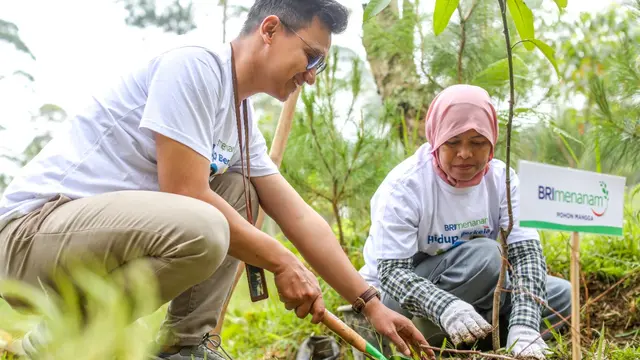 Lingkungan Lebih Hijau & Malah Jadi Cuan, Nasabah Ungkap Manfaat ‘BRI Menanam’