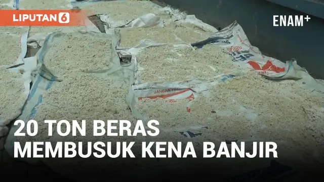VIDEO: Kena Banjir, 20 Ton Beras Membusuk