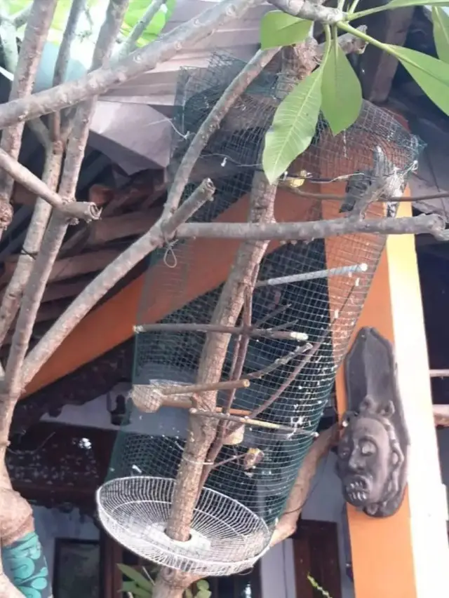10 Potret Alih Fungsi Tutup Kipas Bekas, Bisa Buat Jualan di Warung