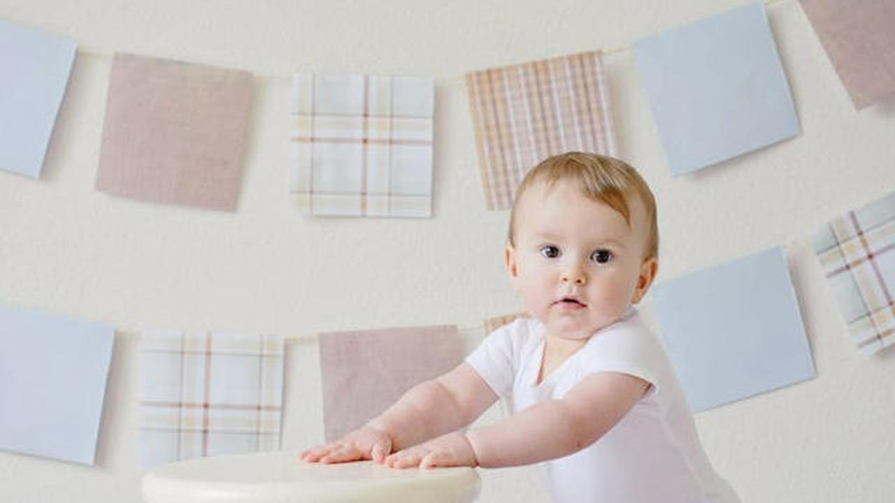 Bayi dalam Pengenalan Suara dan Gambar