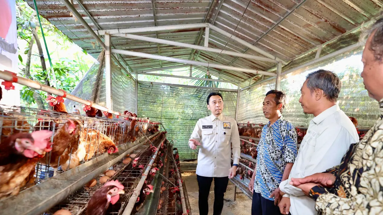 Wakil Ketua MPR RI Edhie Baskoro Yudhoyono (Ibas) saat meninjau langsung bantuan program ternak ayam petelur di Desa Wonogondo, Kabupaten Pacitan, Selasa (5/5/2026) dalam kegiatan bertema “Peternak Produktif, Dapur Tercukupi, Keluarga Sehat dan Bahagia” (