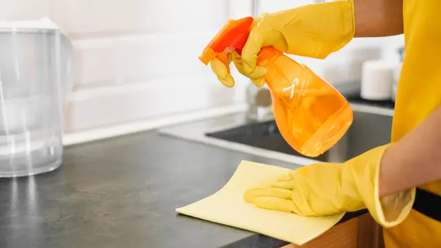 Cleaning House
