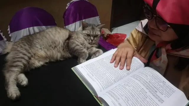 6 Potret Kucing Temani Orang Mengaji Ini Bikin Gemas