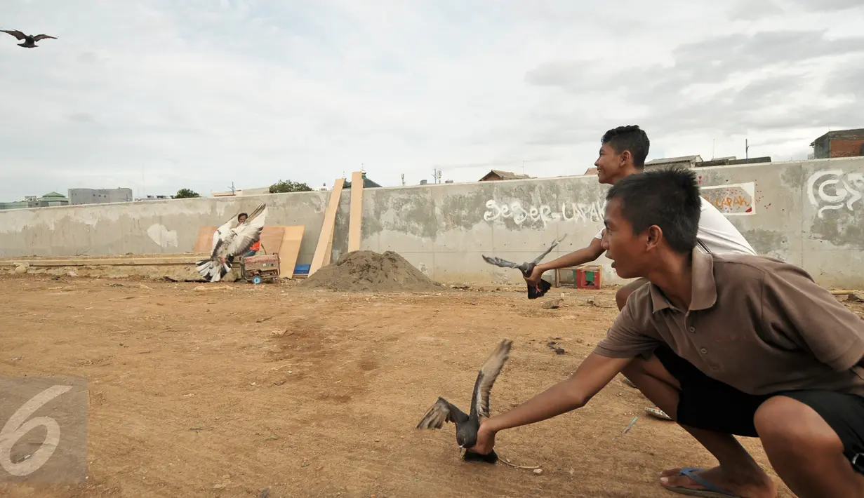 Anak-anak bermain burung merpati di pinggiran proyek normalisasi kali Ciliwung, Jakarta, Jumat (13/1). Menghabiskan waktu sore, sejumlah anak-anak bermain burung merpati di kawasan Bukit Duri. (Liputan6.com/Yoppy Renato)