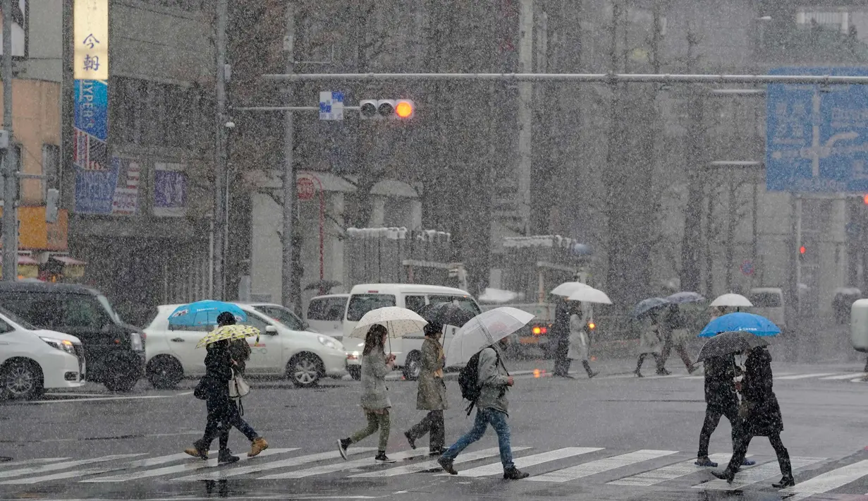 Warga menggunakan payung berjalan selama hujan salju lebat di Tokyo (22/1). Hujan salju membuat keberangkatan penerbangan dan melumpuhkan beberapa layanan kereta api di kota tersebut. (AP Photo/Shizuo Kambayashi)