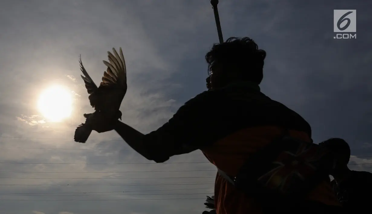 Warga berlatih burung dara kolong lapak tanggul di pesisir Banjir Kanal Barat, Petamburan, Tanah Abang, Jakarta, Rabu (27/2). Latihan tersebut bertujuan untuk mengikuti lomba burung dara setiap hari Sabtu dan Minggu. (Liputan6.com/Fery Pradolo)