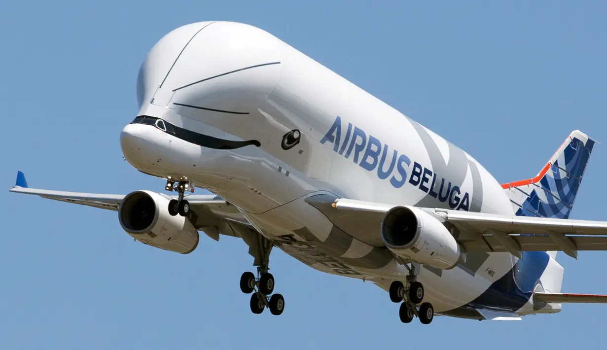 Pesawat Airbus Beluga XL bersiap mendarat setelah uji coba penerbangan perdananya di bandara Toulouse-Blagnac, Prancis, Kamis (19/7). Pesawat baru ini memiliki ukuran 20 kaki dan mampu membawa muatan 51 ton. (AP/Frederic Scheiber)