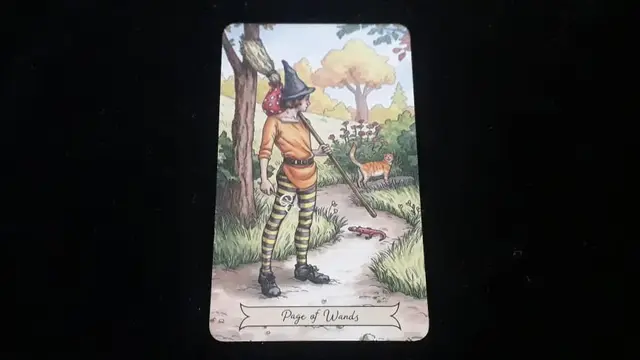 Tarot