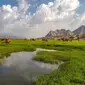 Terkenal gersang, ternyata Arab Saudi memiliki lembah hijau yang indah (Sumber foto: Brgnews.com)