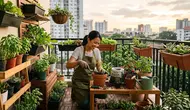 Cara Memulai Berkebun dengan Ruang Terbatas, Trik Cerdas Memaksimalkan Lahan Kecil