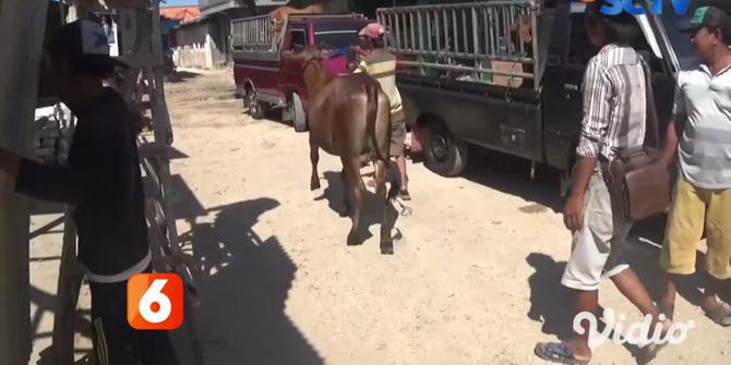 VIDEO: Pedagang Minta Dibangun Dermaga Khusus di Pelabuhan Dungkek, Kenapa?