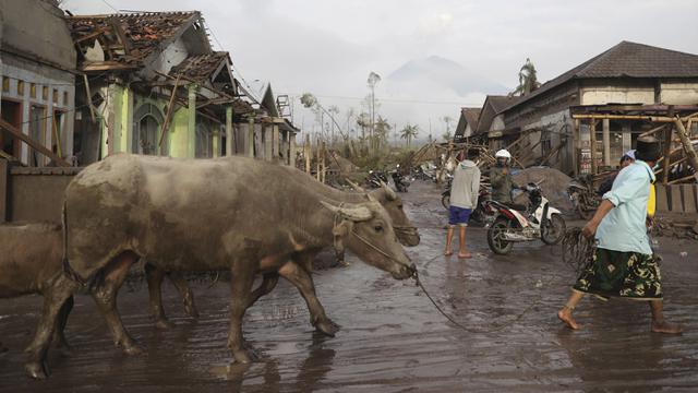 FOTO: Yang Tersisa dari Amukan Erupsi Gunung Semeru