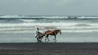 Pantai Parangtritis, kabupaten Bantul, DIY. (Photo by Elang Wardhana on Unsplash)