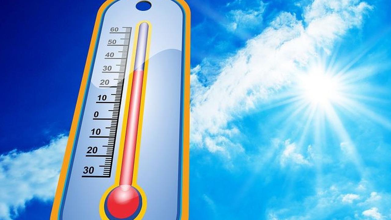 Penelitian di London Ungkap Cara Mudah Turunkan Suhu Panas Hingga 2 Derajat Celcius, Bisa Diterapkan di Indonesia
