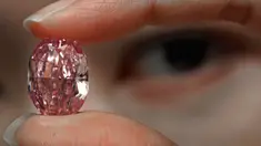 Model memperlihatkan berlian berwarna purple pink yang sangat langka di ruang lelang Sotheby Hong Kong pada 12 Oktober 2020. Berlian pink adalah berlian langka dan sangat dihargai secara estetika. terutama oleh para kolektor. (AP Photo/Vincent Yu)