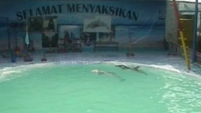 Liputan6 Petang 12-02-2014 |2| Sungai Berubah Warna, Kemewahan Corby, Kilas Indonesia