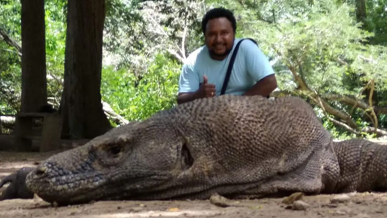 komodo