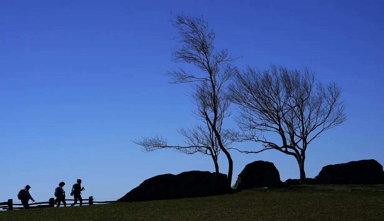 Pohon-pohon yang tidak memiliki daun tertiup angin saat pejalan kaki menggunakan jalan setapak di Doughton Park sepanjang Blue Ridge Parkway saat musim gugur mulai dekat di Sparta, North California, pada 19 Oktober 2021. (AP Photo/Gerry Broome)