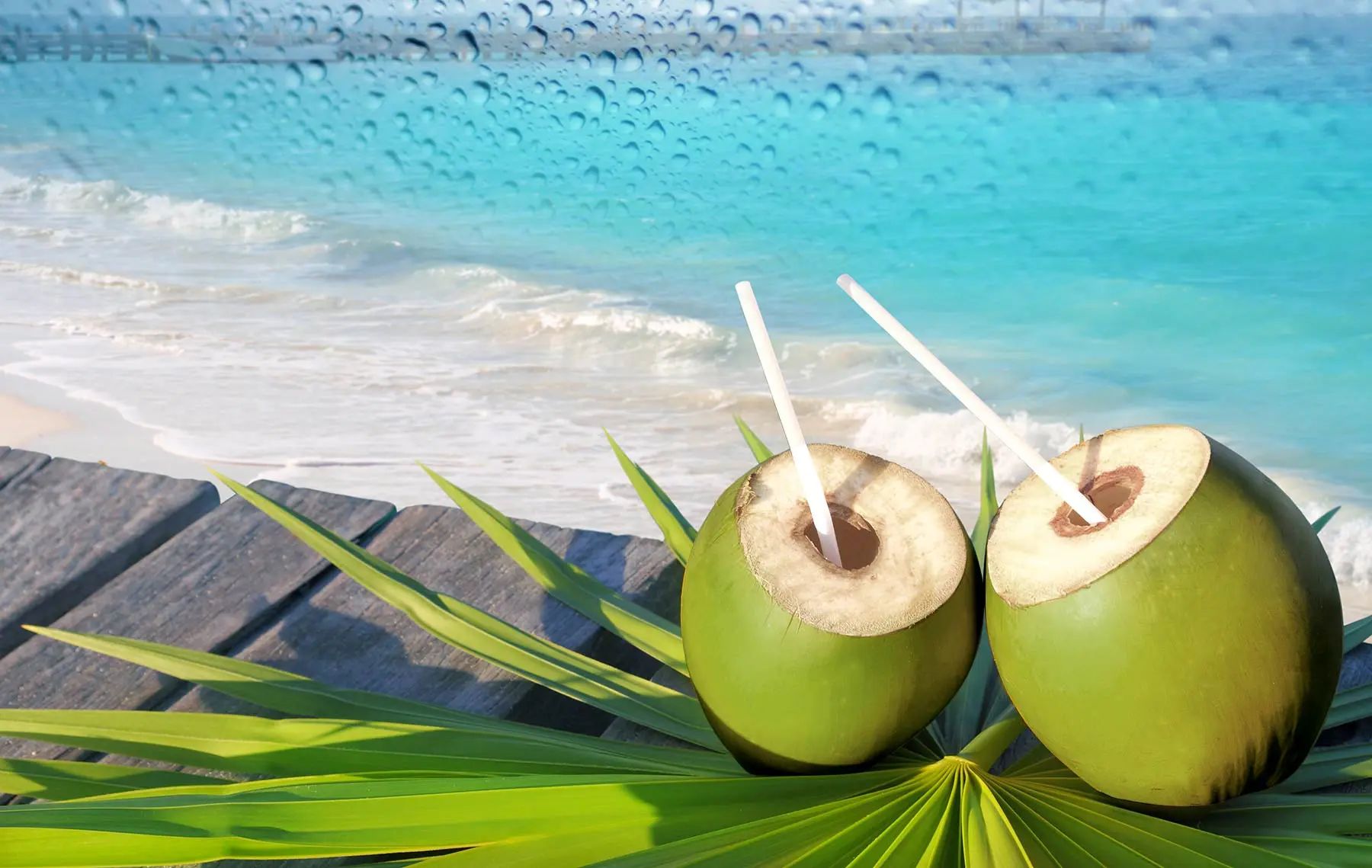 Selain air putih, air kelapa muda juga sangat baik untuk kesehatanmu. Karena mengandung anti oksidan yang sangat tinggi | via: purecoco.sk