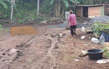 Diduga Jejak Tapak Kaki Harimau Ditemukan di Lokasi Pembangunan Ponpes Gunungkidul