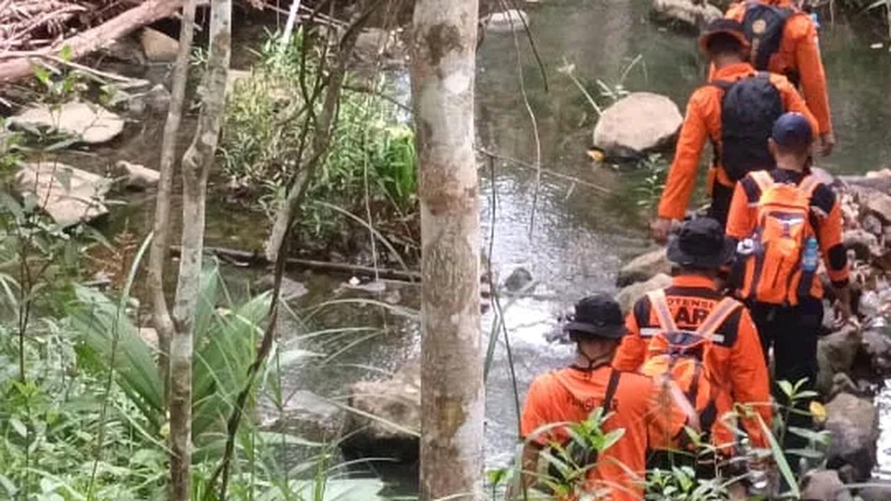 ABG Hilang Selama Sepekan di Hutan Lubuklinggau, Belasan Dukun Dikerahkan Bantu Menerawang