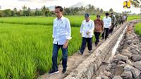 Presiden Jokowi meninjau lokasi program Padat Karya Tunai irigasi kecil di Sumbawa. (Foto: Kementerian PUPR)
