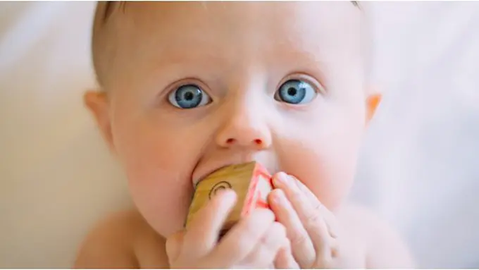 Finger Food/copyright unsplash.com