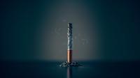 Ilustrasi Rokok. Photo by Mathew Macquarrie on Unsplash