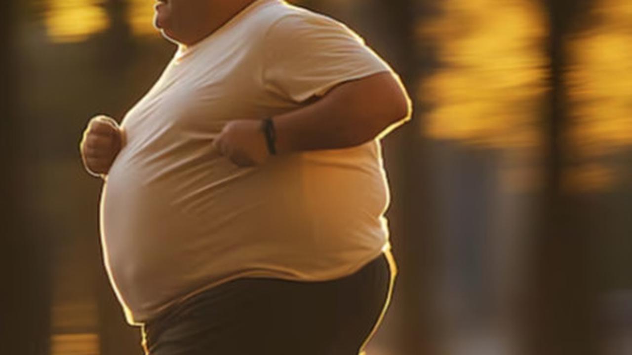 Mengapa Diet Tinggi Protein Menjadi Pilihan Cerdas untuk Mengatasi Obesitas?