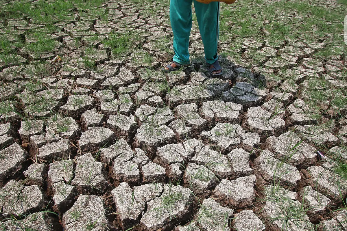 Kekeringan Sawah