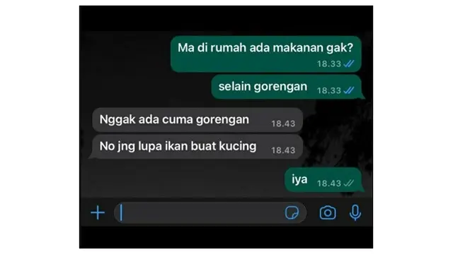 6 Chat Ibu dan Anak Bahas Kucing Ini Kocak, Anabul Jadi Anggota Kesayangan